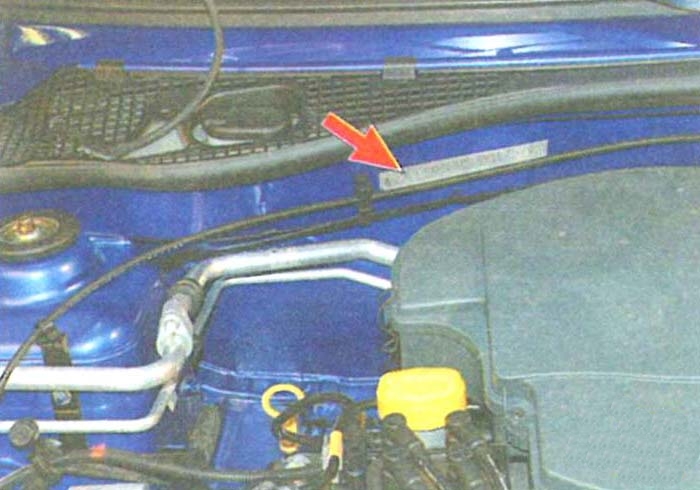 Место где находится идентификационный номер Renault Logan